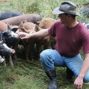 We spent time with Daniel Salatin at Polyface farm in Virginia-checked out the Salad Bar Beef, Pigerator Pork &amp; Chickens