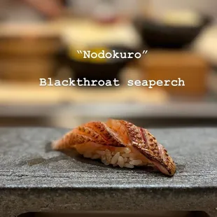 Blackthroat sea perch