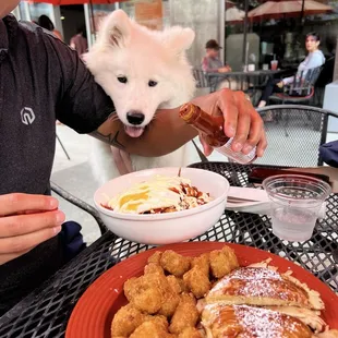 The count &amp; hazlenut iced coffee &amp; Hash on Hash