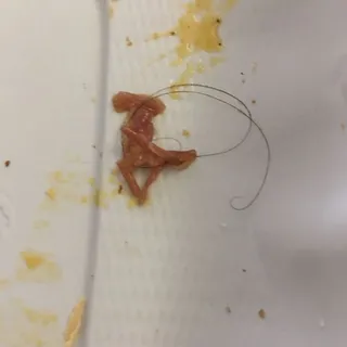 Corned Beef Hash Benedict