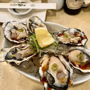 Today&apos;s oysters!