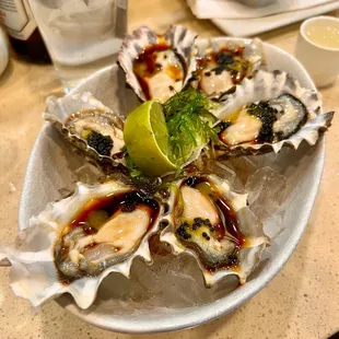 Oysters