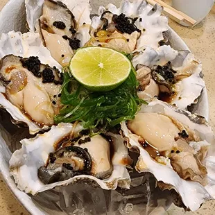 Oyster time