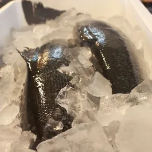 FRESH SALMON SKIN COLOR IS AWESOME!!