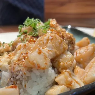Volcano Roll