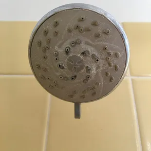 Clogged Shower Head (Un-Cleaned)