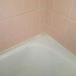 Mold on tub