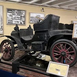 Hastings Museum