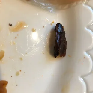 Cockroach