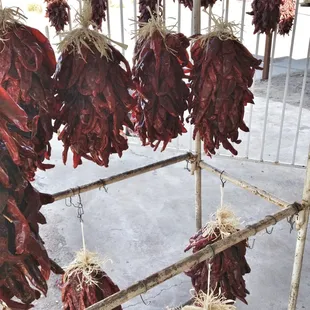 Ristras for sale at Hatch Chiles Sales.