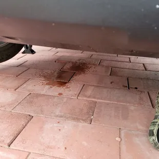 Went in to have 1st oil change on my RAV4  drove it home and noticed this a couple hours later. Oil leak