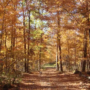 Hatchers Creek Ranch in the fall