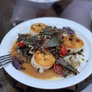 Scallops