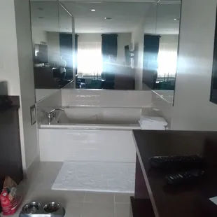 Two person jacuzzi tub in the bedroom