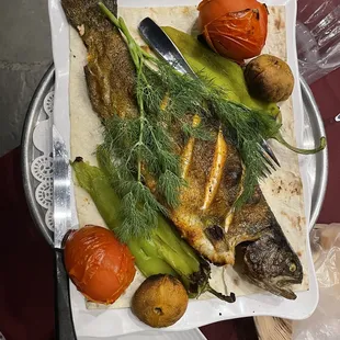 Red trout