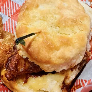 Hot chicken biscuit !!