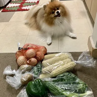 Fresh BIG vegetables  &amp; fruit! (Puppy approved ;) )