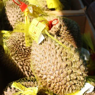 a bunch of jackfruits