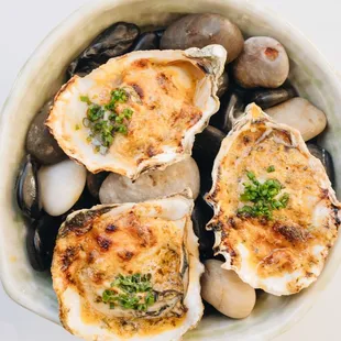 mussels, shellfish, oysters, food, oysters and mussels