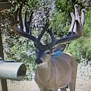 A few 2023-24 shooters