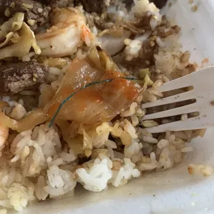 Hibachi Steak and Shrimp