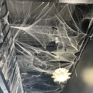 Crazy cobweb ceiling