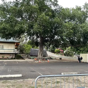 Parking lot, we are all lined up on the other side