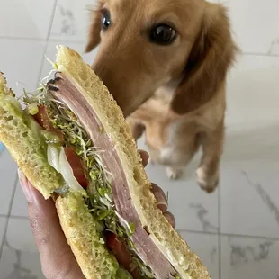 sandwiches