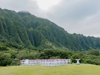 Wedding Planner 808