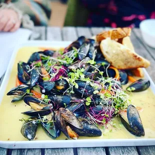 a plate of mussels and bread