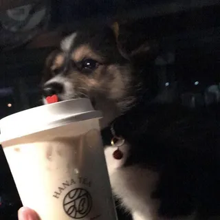 Mochi Z.
