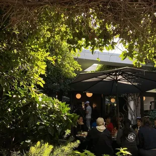 Outdoor courtyard