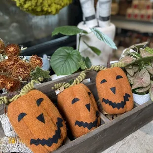 Halloween felt pumpkins $16 each in the store next door