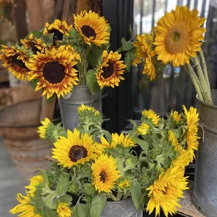Sunflowers in the shop next door