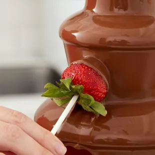 Chocolate Fountain