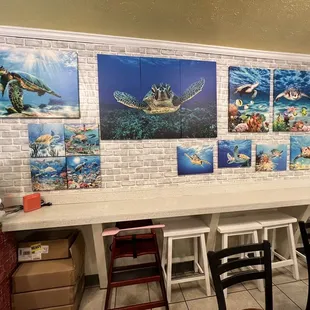 9.20.23 Wall of Turtle  Decor