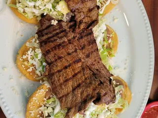 Latin American Quetzal