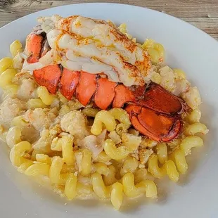 Lobster Mac