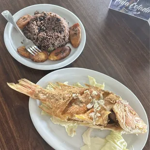 Fried Red Snapper AMAZING  TOASTY and fresh!