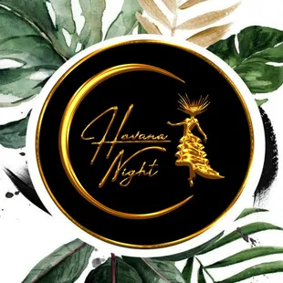 he logo of havana night