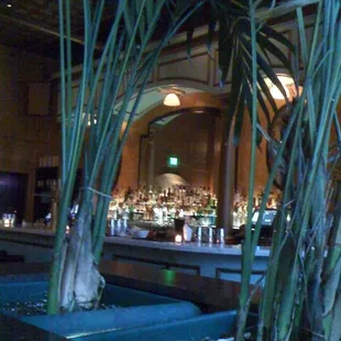 a view of a bar with palm trees in the foreground