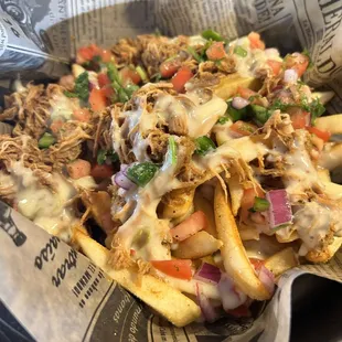 french fries with pulled pork and cheese