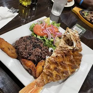 Red Snapper