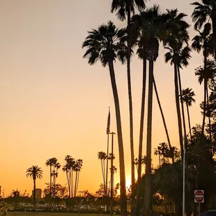 Sunset from the parking lot.