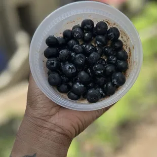 Blueberry overnight oats