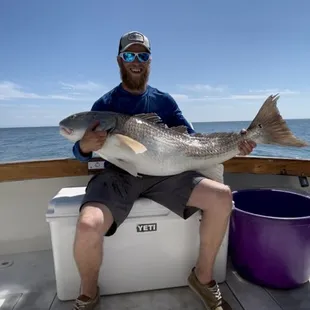 citation Red Drum