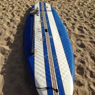 Costco foam Wavestorm paddle board. $40/day. It works.