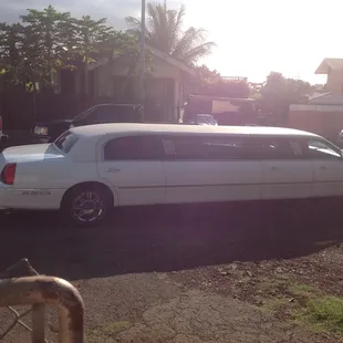 Nice,decent, clean, and spacious limousine!