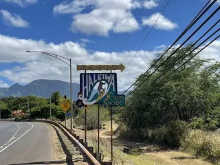 Executive Chauffeur Hawaii
