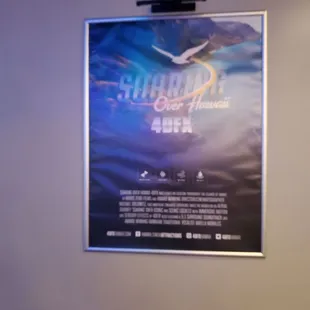 Soaring over Hawaii poster
